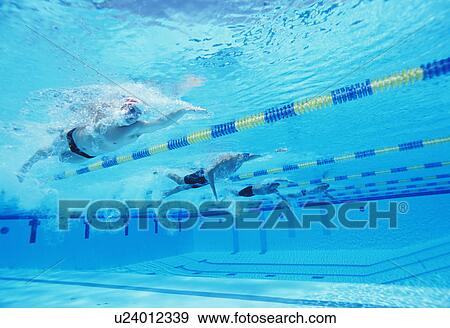 Stock Photo - Underwater shot of four male athletes competing in swimming pool. Fotosearch