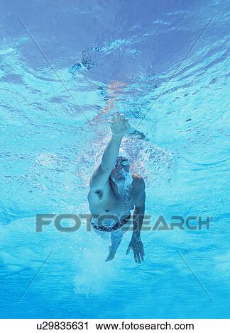 Stock Image - Underwater shot of professional male athlete swimming in pool. Fotosearch