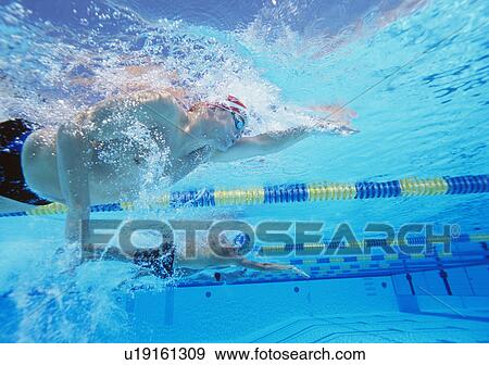 Underwater shot of three male athletes in swimming competition View Large Photo Image Stock Photo - Underwater shot of three male athletes in swimming competition. Fotosearch