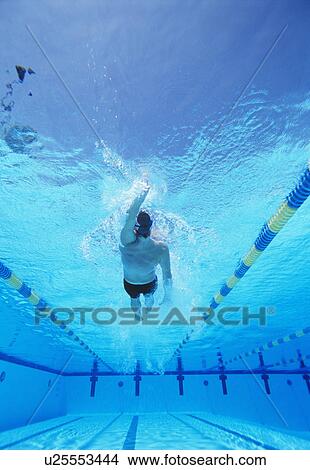 Picture - Underwater shot of young male athlete doing backstroke in swimming pool. Fotosearch