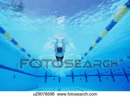 Underwater shot of young male athlete swimming in pool View Large Photo Image Stock Photograph - Underwater shot of young male athlete swimming in pool. Fotosearch