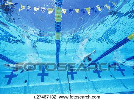 Underwater view of professional participants racing in pool View Large Photo Image Stock Image - Underwater view of professional participants racing in pool. Fotosearch