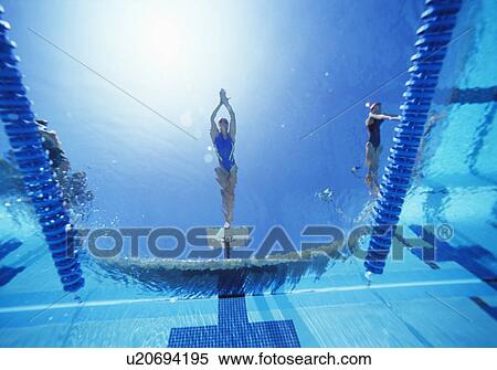 Stock Photography - View of female swimmer diving in swimming pool. Fotosearch