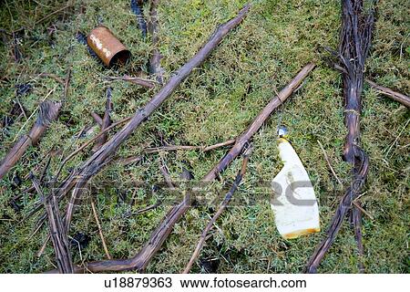 Weathered garbage embedded in ground View Large Photo Image Stock Image - Weathered garbage embedded in ground. Fotosearch