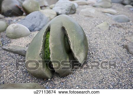 Picture - Weathered grooves in a stone, Ballinskellig beach, Ireland. Fotosearch
