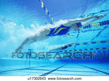 Stock Image - Young female professional participants racing in pool. Fotosearch