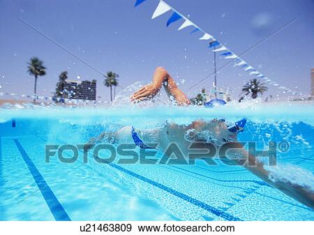 Young male athlete swimming in pool View Large Photo Image Stock Photo - Young male athlete swimming in pool. Fotosearch