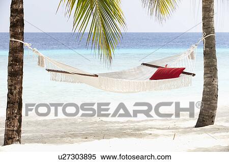 Stock Photography - Empty Hammock Between Palm Trees. Fotosearch