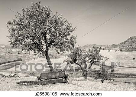 Stock Photography - Abandoned sofa in Sicilian countyside, Italy. Fotosearch