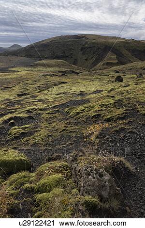 Autumn colours at Hafursey, Iceland View Large Photo Image Stock Image - Autumn colours at Hafursey, Iceland. Fotosearch