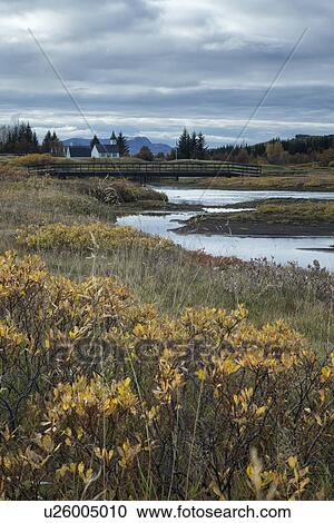 Autumn colours at Pingvellir, Iceland View Large Photo Image Stock Image - Autumn colours at Pingvellir, Iceland. Fotosearch