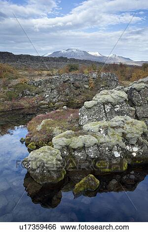 Stock Photograph - Autumn colours at Pingvellir, Iceland. Fotosearch