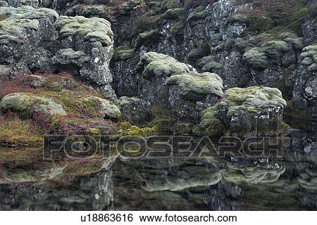 Stock Photograph - Autumn colours detail at Pingvellir, Iceland. Fotosearch