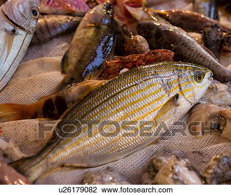 Stock Image - Fish detail, Catania Fish market, Sicily, Italy. Fotosearch