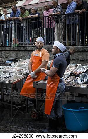 Fish vendor, Catania Fish market, Sicily, Italy View Large Photo Image Stock Image - Fish vendor, Catania Fish market, Sicily, Italy. Fotosearch