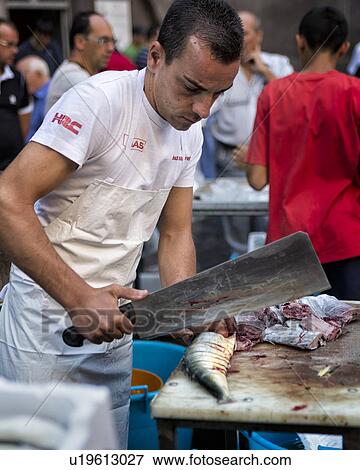 Fish vendor, Catania Fish market, Sicily, Italy View Large Photo Image Stock Photo - Fish vendor, Catania Fish market, Sicily, Italy. Fotosearch