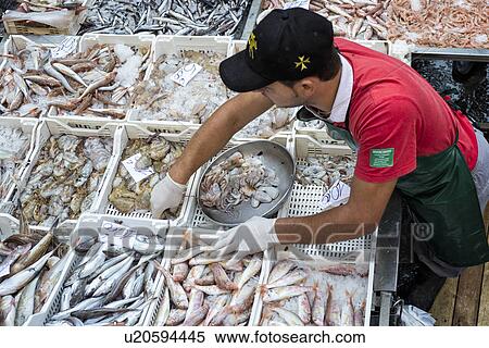 Stock Photography - Fish vendor, Catania Fish market, Sicily, Italy. Fotosearch
