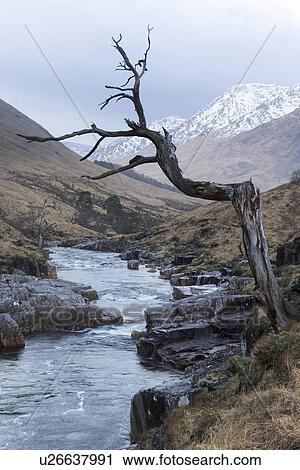 Flowing river of Glen Etive in winter, Glen Coe, Scotland View Large Photo Image Stock Image - Flowing river of Glen Etive in winter, Glen Coe, Scotland. Fotosearch