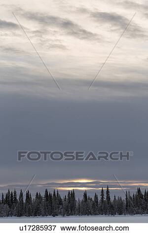Frozen snow-covered lake and evergreens at sunset, Karesuando, S View Large Photo Image Stock Photo - Frozen snow-covered lake and evergreens at sunset, Karesuando, S. Fotosearch