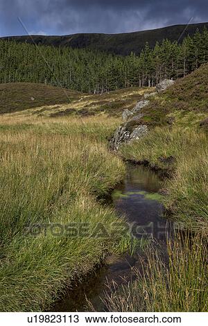 Glen Clova stream and hillside view, Angus, Scotland View Large Photo Image Stock Image - Glen Clova stream and hillside view, Angus, Scotland. Fotosearch