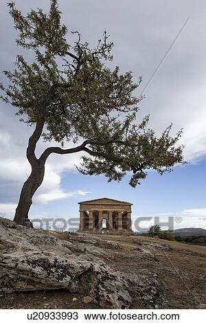 Greek Temple of Concordia with olive tree, Agrigento, Sicily, It View Large Photo Image Stock Image - Greek Temple of Concordia with olive tree, Agrigento, Sicily, It. Fotosearch