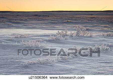 Hoar frost in field, Iceland View Large Photo Image Picture - Hoar frost in field, Iceland. Fotosearch