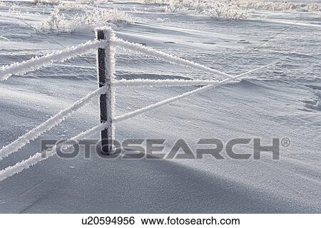 Stock Photograph - Hoar frost in field, Iceland. Fotosearch