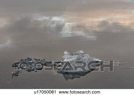 Stock Image - Iceberg detail with reflection, Jokulsarlon lagoon sunrise, Icel. Fotosearch