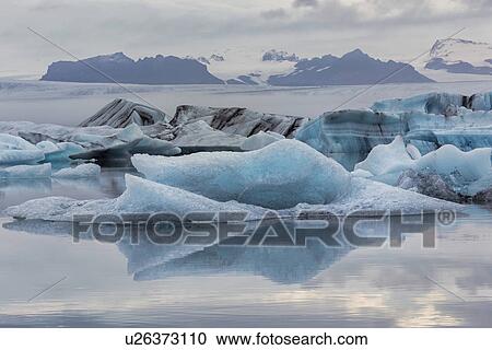 Icebergs at Jokulsarlon lagoon, with glacier, sunrise, Iceland View Large Photo Image Stock Image - Icebergs at Jokulsarlon lagoon, with glacier, sunrise, Iceland. Fotosearch