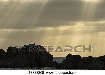 Man o'War cove, Lulworth, Dorset, England View Large Photo Image Stock Photo - Man o'War cove, Lulworth, Dorset, England. Fotosearch