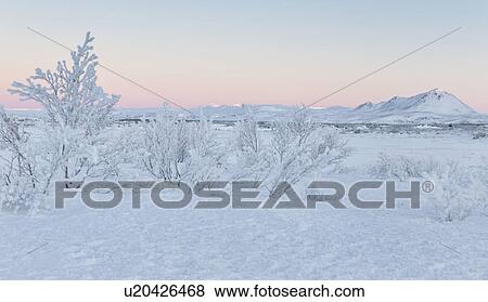 Stock Photo - Myvatn - landscape with hoar frost and winter snow, Iceland. Fotosearch