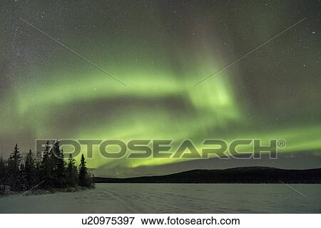 Stock Photo - Northern lights over pine forest and frozen lake near Kiruna, Sw. Fotosearch