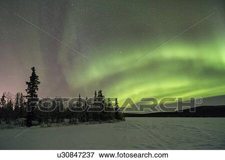 Stock Photo - Northern lights over pine forest and frozen lake near Kiruna, Sw. Fotosearch
