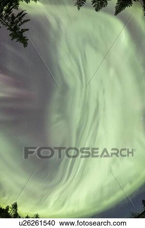 Stock Image - Northern lights over pine forest near Kiruna, Sweden. Fotosearch