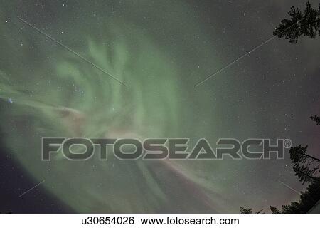 Northern lights over pine forest near Kiruna, Sweden View Large Photo Image Stock Photograph - Northern lights over pine forest near Kiruna, Sweden. Fotosearch