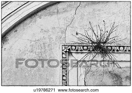 Stock Image - Poggioreale interior detail of earthquake destruction, Sicily, I. Fotosearch