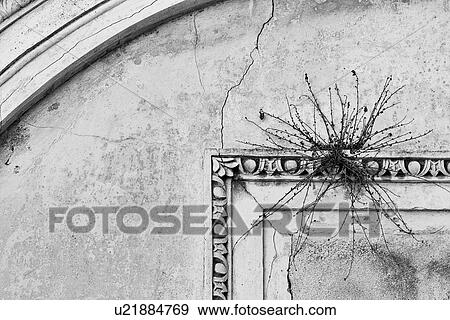 Poggioreale interior detail of earthquake destruction, Sicily, I View Large Photo Image Stock Photo - Poggioreale interior detail of earthquake destruction, Sicily, I. Fotosearch