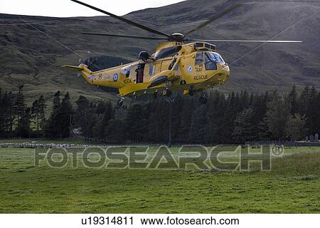 RAF rescue helicopter hovering, Glen Clova, Scotland View Large Photo Image Stock Image - RAF rescue helicopter hovering, Glen Clova, Scotland . Fotosearch