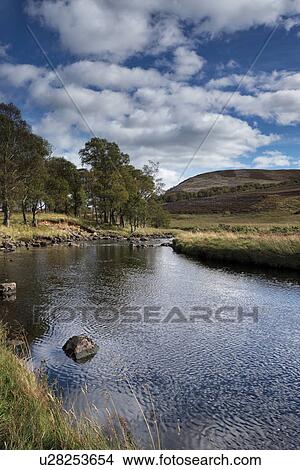 Picture - Scottish countryside near Loch Lee, Angus, Scotland. Fotosearch