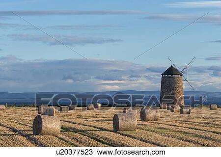 Stock Image - St. Monan windmill and mown hay fields, Scotland. Fotosearch