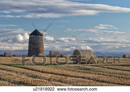 St. Monan windmill and mown hay fields, Scotland View Large Photo Image Stock Image - St. Monan windmill and mown hay fields, Scotland. Fotosearch