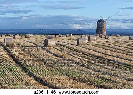 St. Monan windmill and mown hay fields, Scotland View Large Photo Image Stock Photograph - St. Monan windmill and mown hay fields, Scotland. Fotosearch