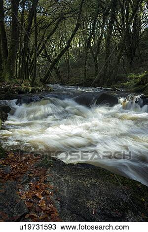Waterfall in autumn, Golitha Falls, Devon, England View Large Photo Image Stock Image - Waterfall in autumn, Golitha Falls, Devon, England. Fotosearch