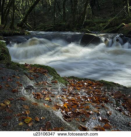 Stock Photo - Waterfall in autumn, Golitha Falls, Devon, England. Fotosearch