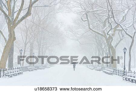 Central Park, The Mall in winter View Large Photo Image Stock Image - Central Park, The Mall in winter. Fotosearch