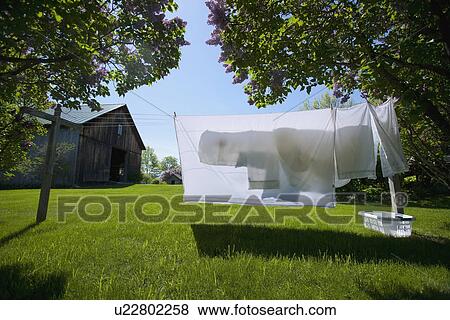 Clean sheets hanging out to dry on spring day View Large Photo Image Stock Photo - Clean sheets hanging out to dry on spring day. Fotosearch