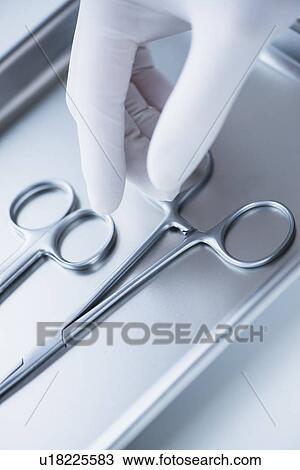 Close up of hand in surgical glove choosing dental forceps, studio shot View Large Photo Image Stock Image - Close up of hand in surgical glove choosing dental forceps, studio shot. Fotosearch