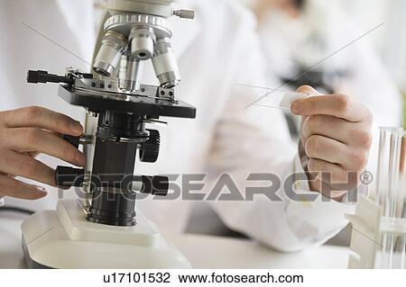 Close-up of scientist doing research on microscopes View Large Photo Image Stock Image - Close-up of scientist doing research on microscopes. Fotosearch