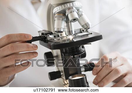 Stock Image - Close-up of scientist doing research on microscopes. Fotosearch