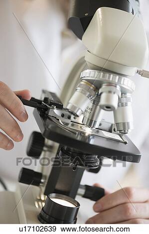 Close-up of scientist doing research on microscopes View Large Photo Image Stock Photo - Close-up of scientist doing research on microscopes. Fotosearch